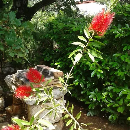 Pondeljak Apartament