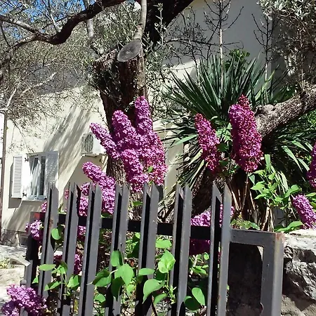 Apartment Mar *